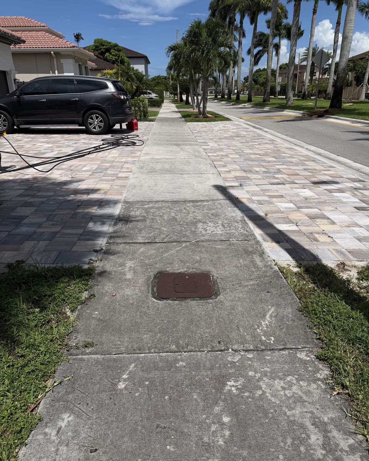 Front sidewalk in South Florida — before cleaning